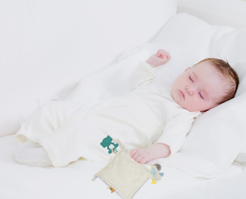 BabyJem Diş Kaşıyıcılı Uykucu Birdy 858 Mavi - 5
