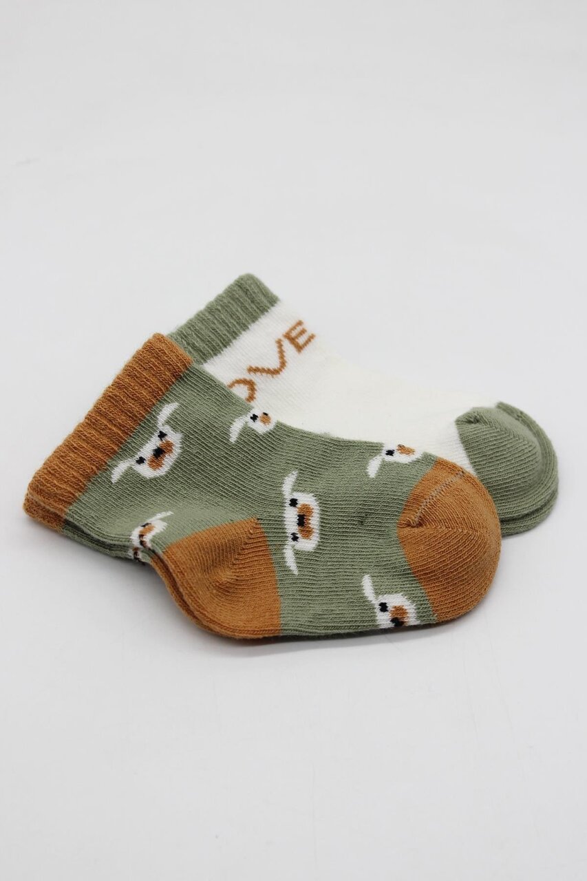 Bistyle 2'Li Love Dog Penye Soket Çorap 10118 Nil - 4
