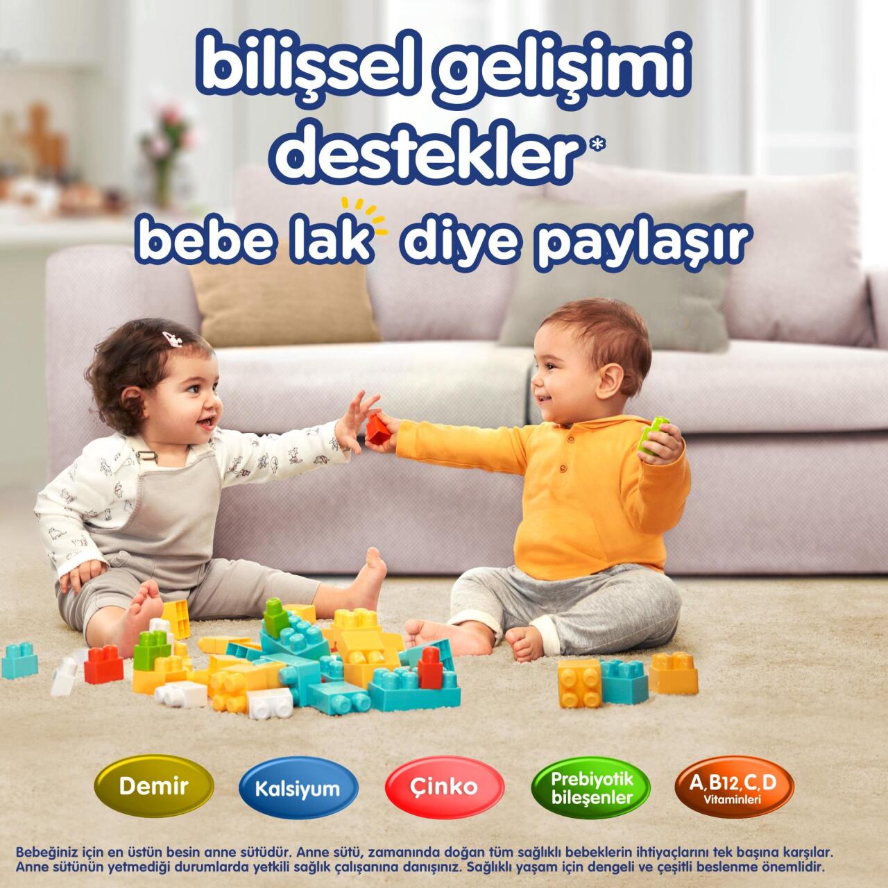 Bebelac Bebek Devam Sütü No2 250 Gr - 5