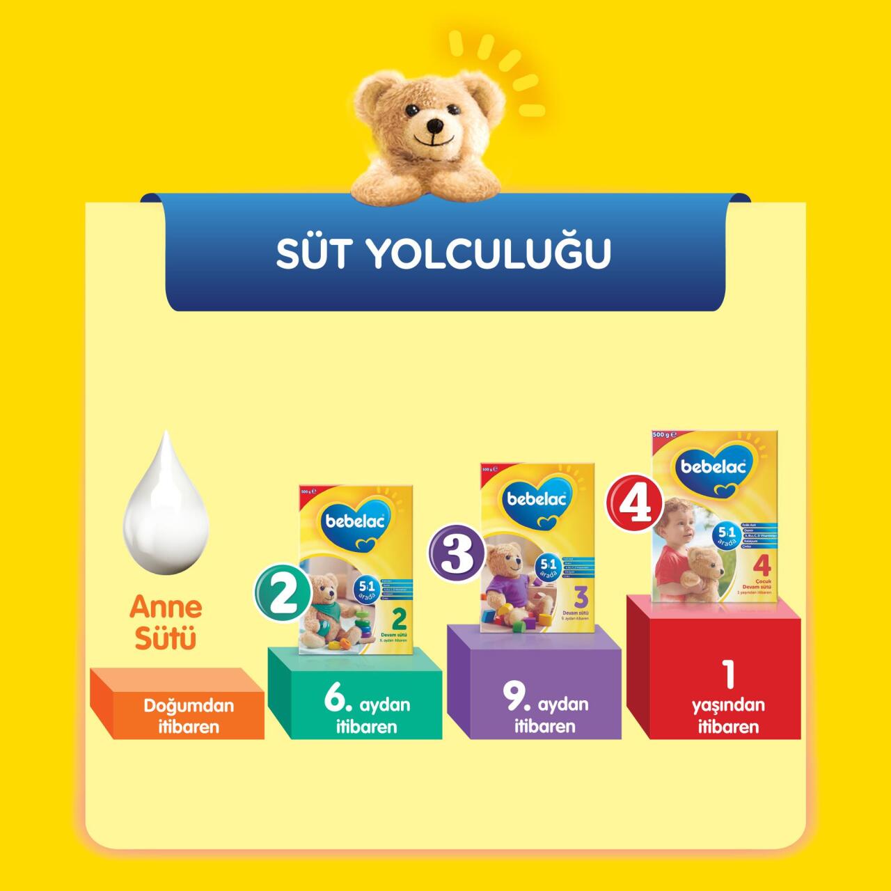 Bebelac Bebek Devam Sütü No2 250 Gr - 8