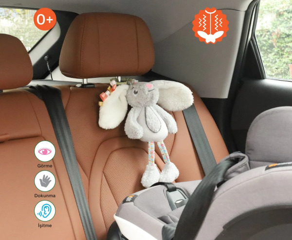 لقد كان رفيق سفري المهتز الأرنب - 5