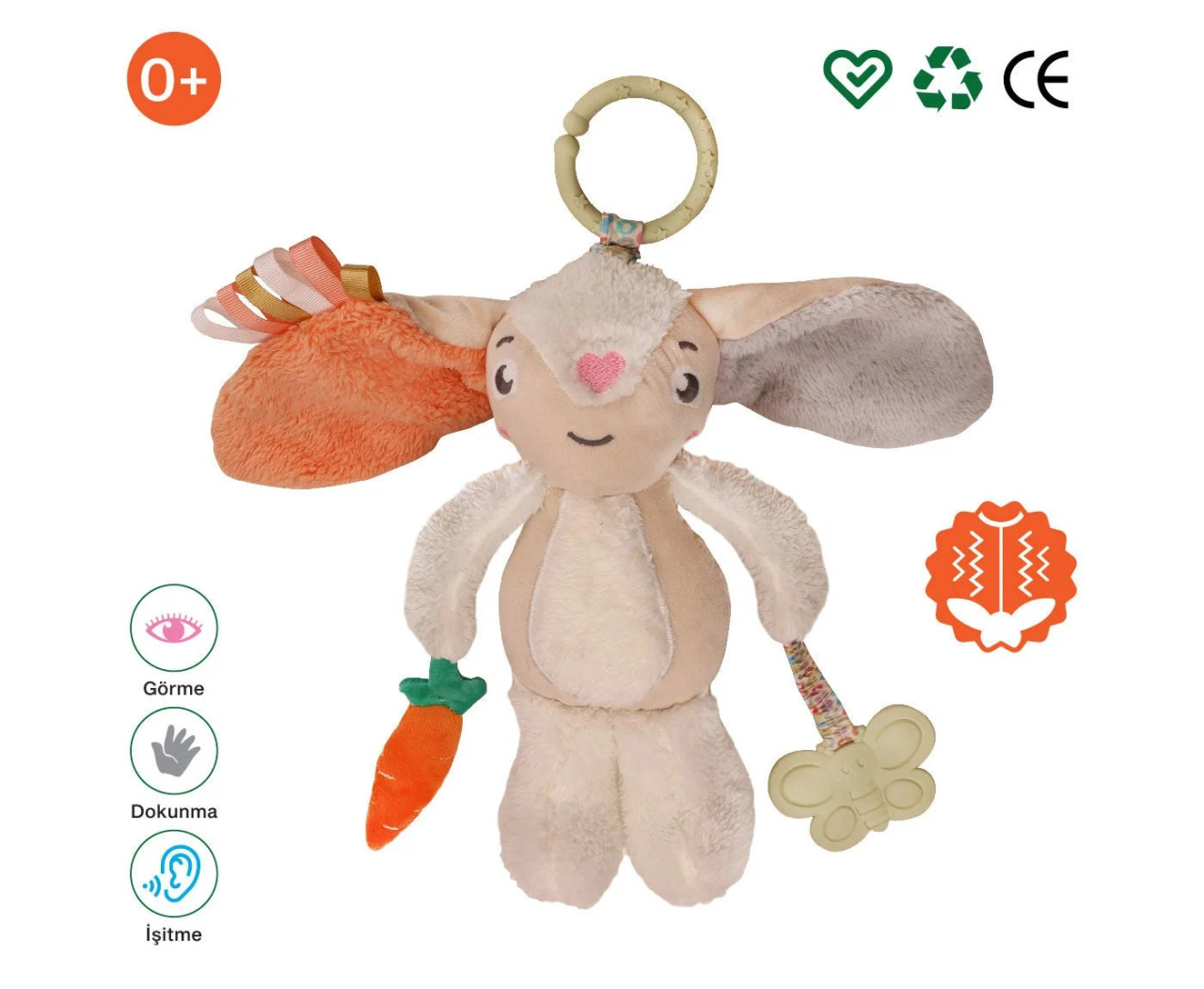 لقد كان رفيقي المهتز الأرنب - 1