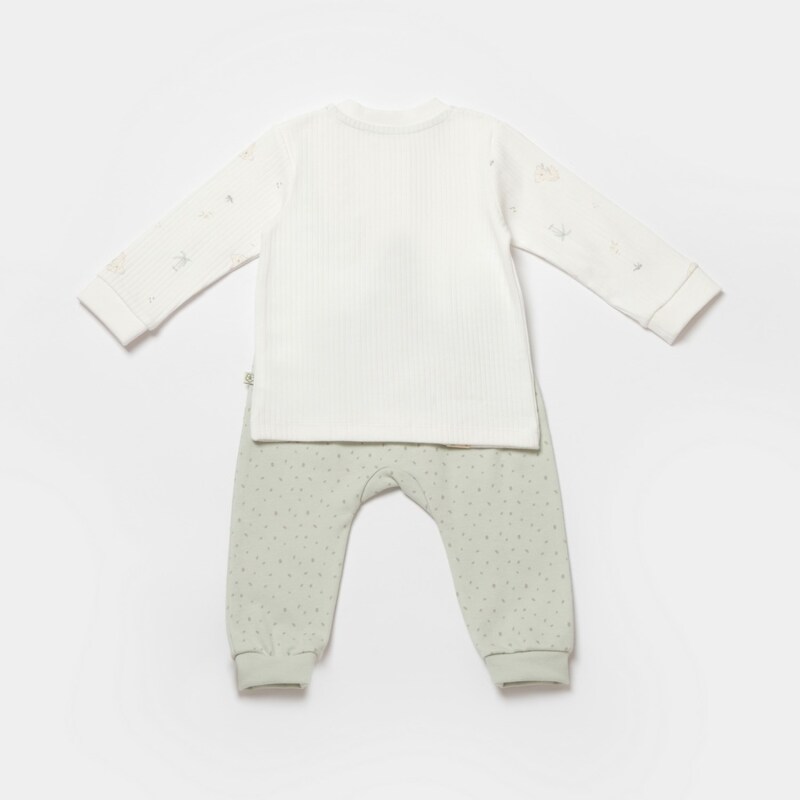 Bibaby Biorganic Koala Jungle 2'Li Bebek Takım 59776 Mint - 2