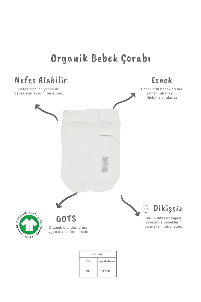 Bistyle 5'li Penye Soket Kutulu Basic Çorap 10131 Ekru - 2
