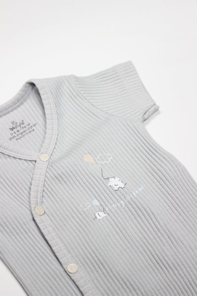 بادي بيستايل فلاينج إليفانت نصف كم من قطعتين 17117 إيكرو جراي - 2