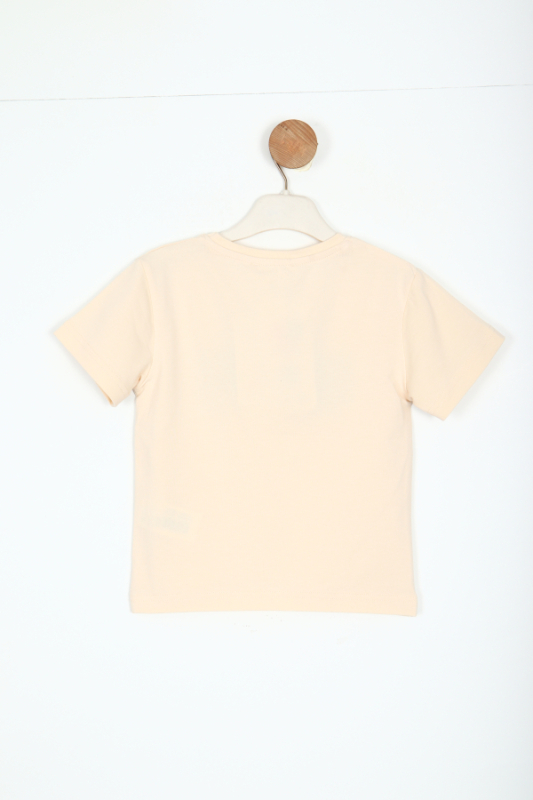 boy t-shirt 9 months - 4 years 48628 - 3