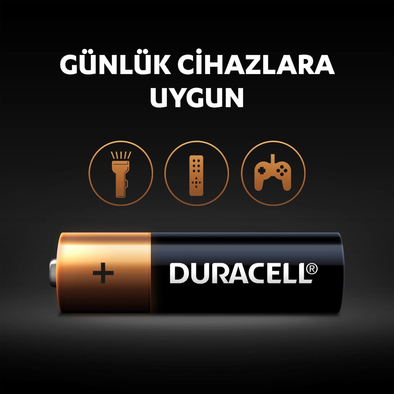 Duracell Basic D Boy Pil 2Li - 3