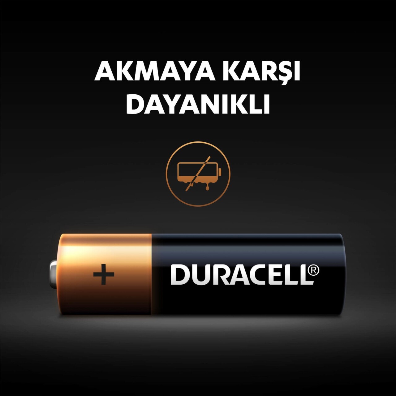 Duracell Basic D Boy Pil 2Li - 4
