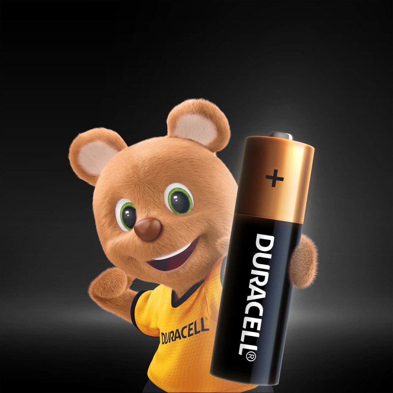 Duracell Basic D Boy Pil 2Li - 6