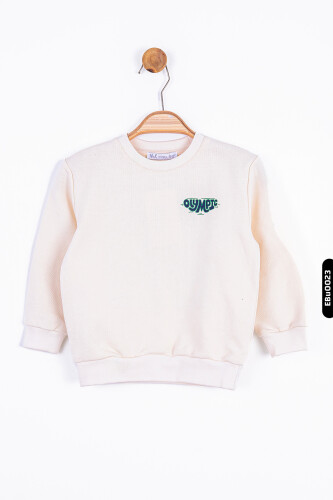 Erkek Bebek sweatshirt 9-24 Ay 45620 - 1