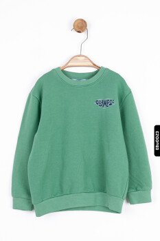 Erkek Bebek sweatshirt 9-24 Ay 45620 - 1