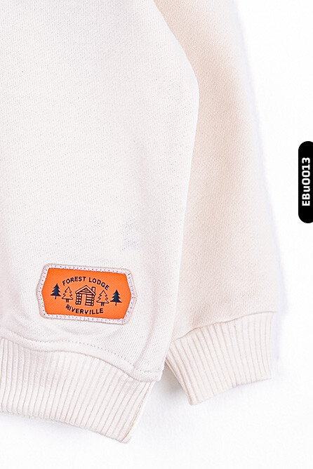 Erkek Bebek Sweatshirt 9-24 Ay 45600 - 3