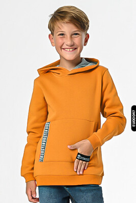 Erkek Çocuk Sweatshirt 4-10 Yaş 1543 - 1