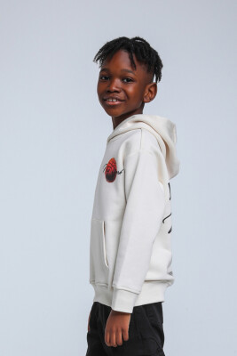 Erkek Çocuk Sweatshirt 4-8 Yaş 1746 