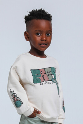 Erkek Çocuk Sweatshirt 1-4 Yaş 1765 