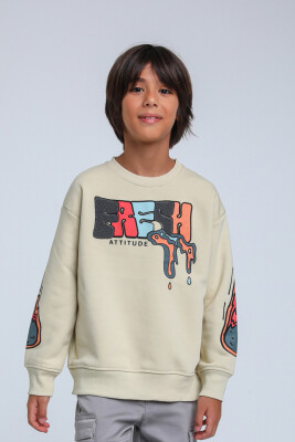 Erkek Çocuk Sweatshirt 4-8 Yaş 1766 