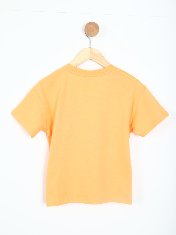 Erkek Çocuk Tişört 1-4 Yaş 1787 Somon - 3