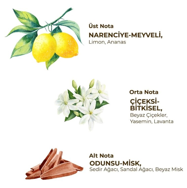 مزيل العرق الدوار للسيدات أيوب صبري تونجر 75 مل منعش - 2