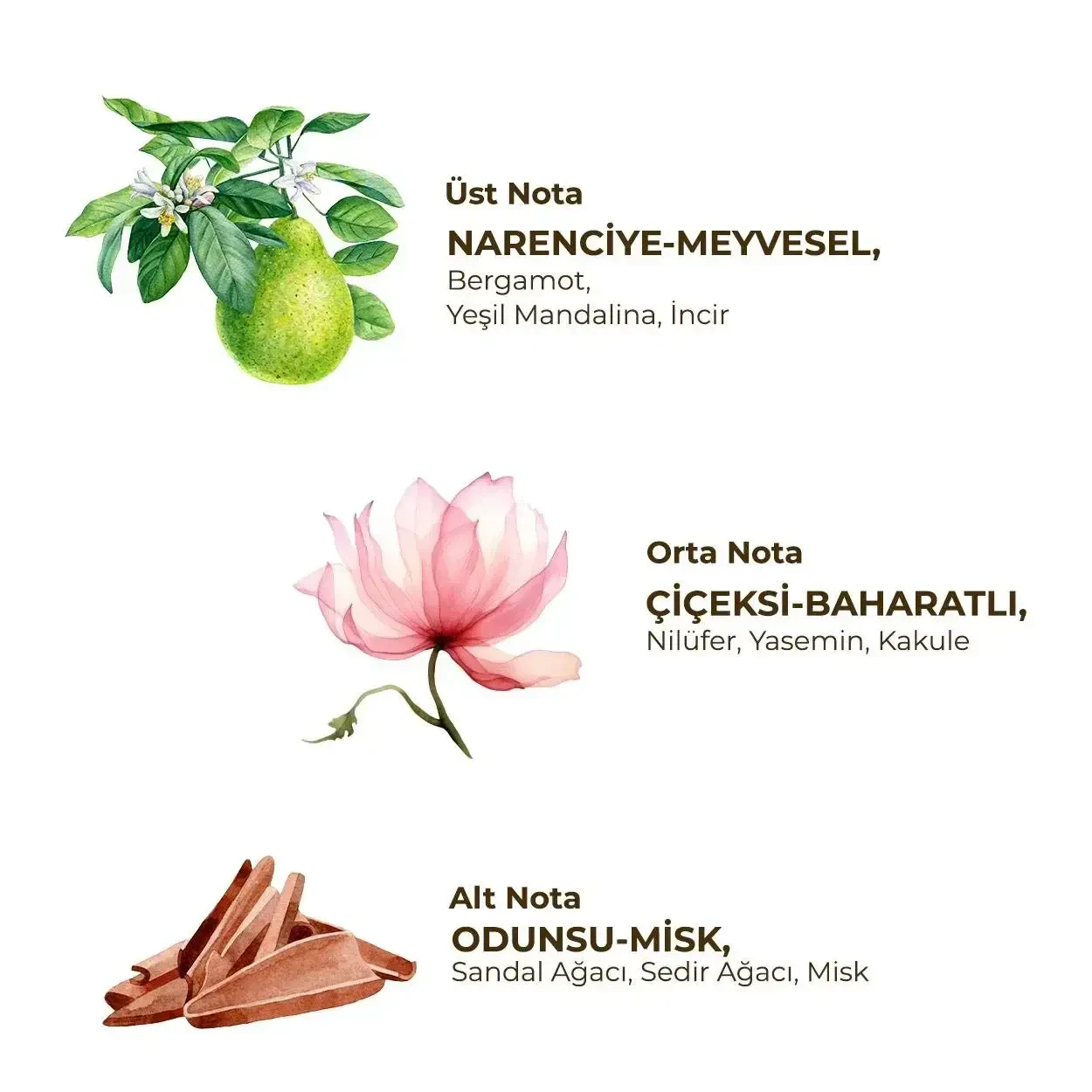 مزيل العرق الدوار للسيدات أيوب صبري تونجر 75 مل نشط - 2