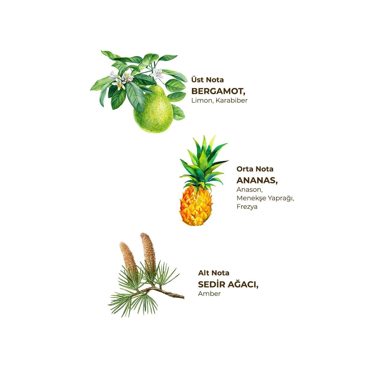 أيوب صبري تونجر زجاجة كولونيا للحيوانات الأليفة بخاخ 150 مل أوشن - 2