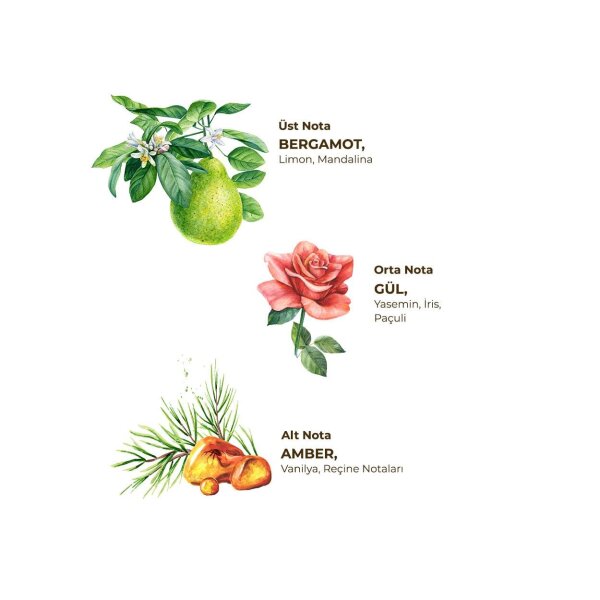 أيوب صبري تونجر كولونيا بخاخ زجاجة للحيوانات الأليفة 150 مل عنبر - 2