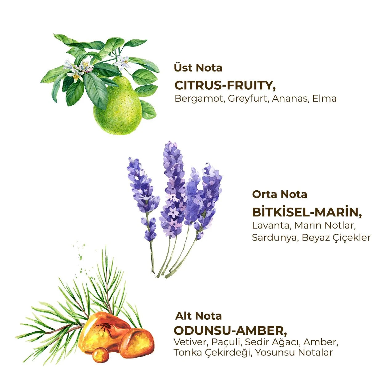 مزيل العرق الدوار للرجال أيوب صبري تونجر 75 مل نشط - 2