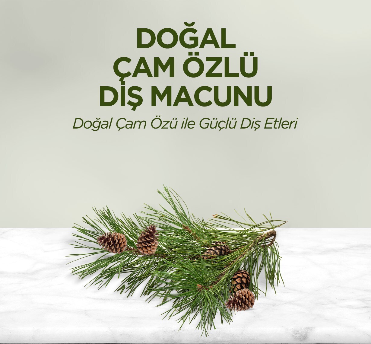 Eyüp Sabri Tuncer Doğal Diş Macunu 90 Gr Çam Özlü - 2