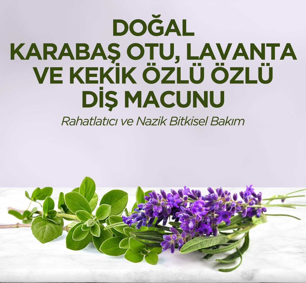Eyüp Sabri Tuncer Doğal Diş Macunu 90 Gr Karabaş Otu & Lavanta ve Kekik Özlü - 2