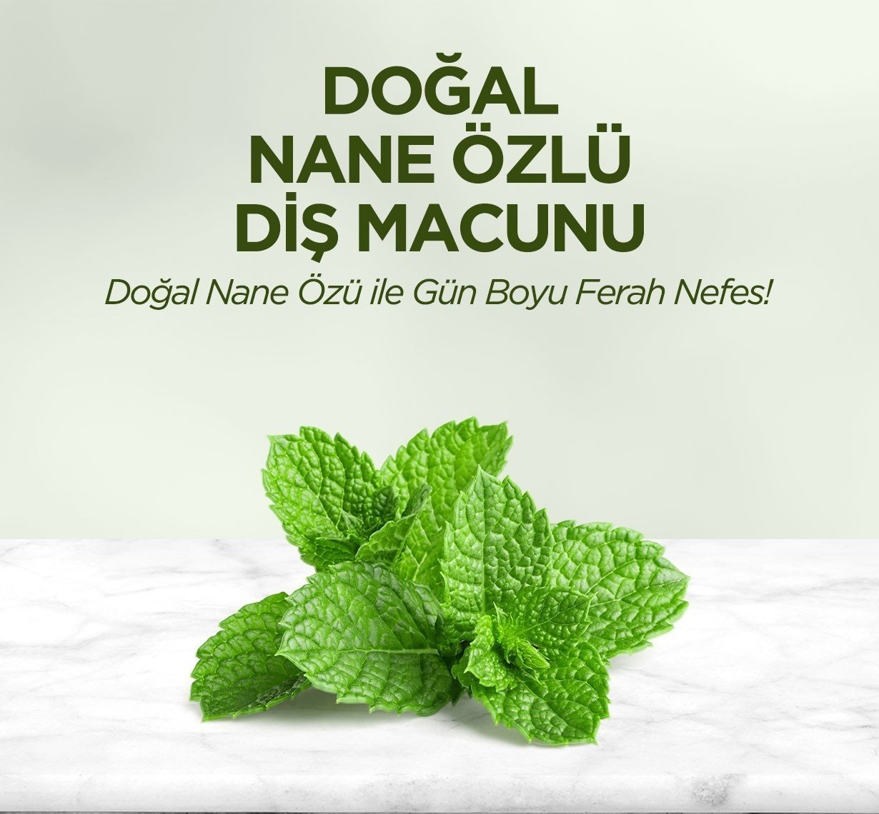 Eyüp Sabri Tuncer Doğal Diş Macunu 90 Gr Nane Özlü - 4