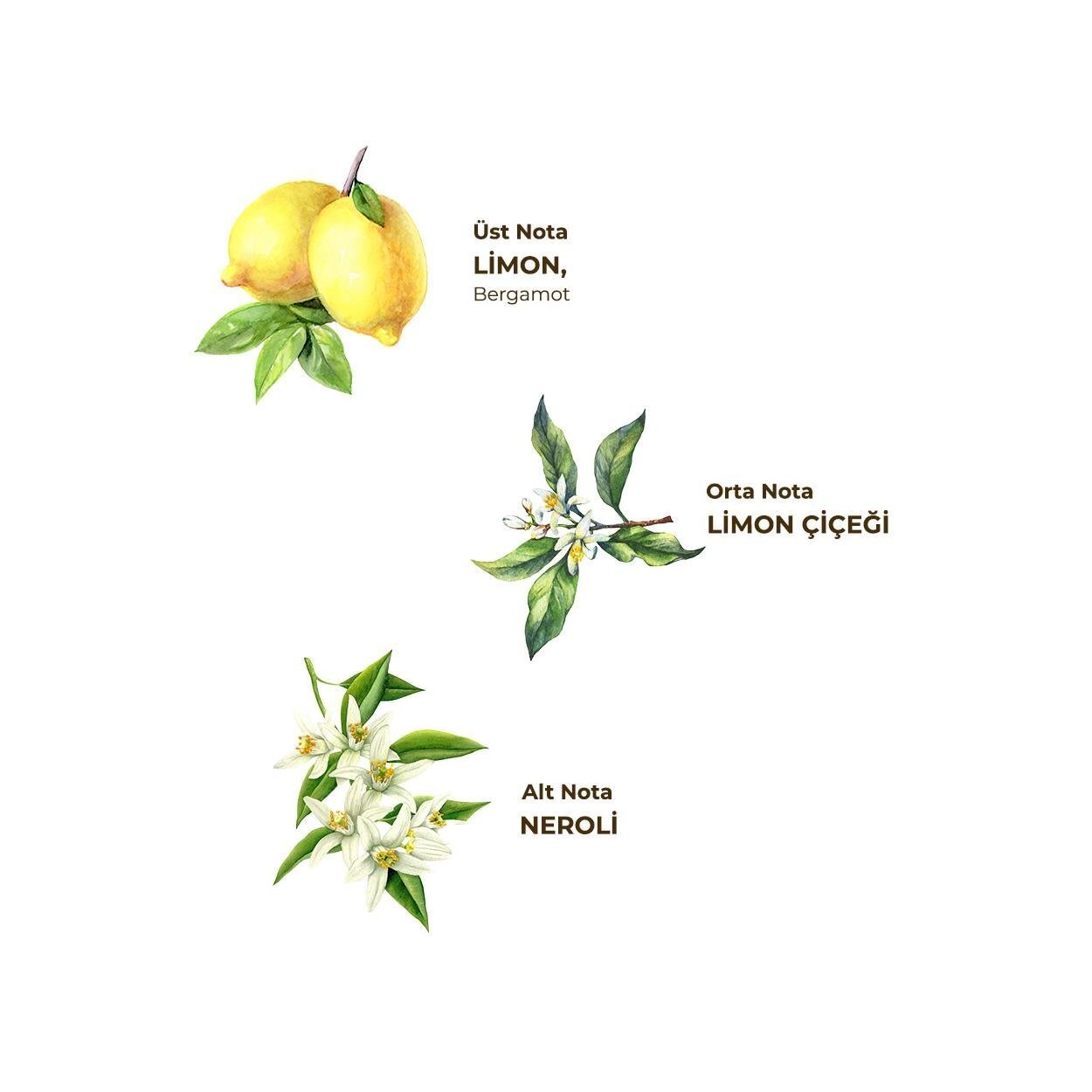 Eyüp Sabri Tuncer Kolonya Pet Şişe Sprey 150 ml Limon - 2