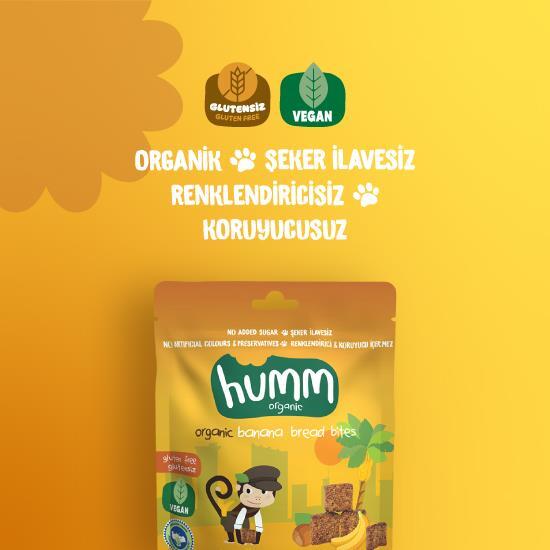 Humm Organik Glutensiz Vegan Muzlu Kek 30 Gr - 2