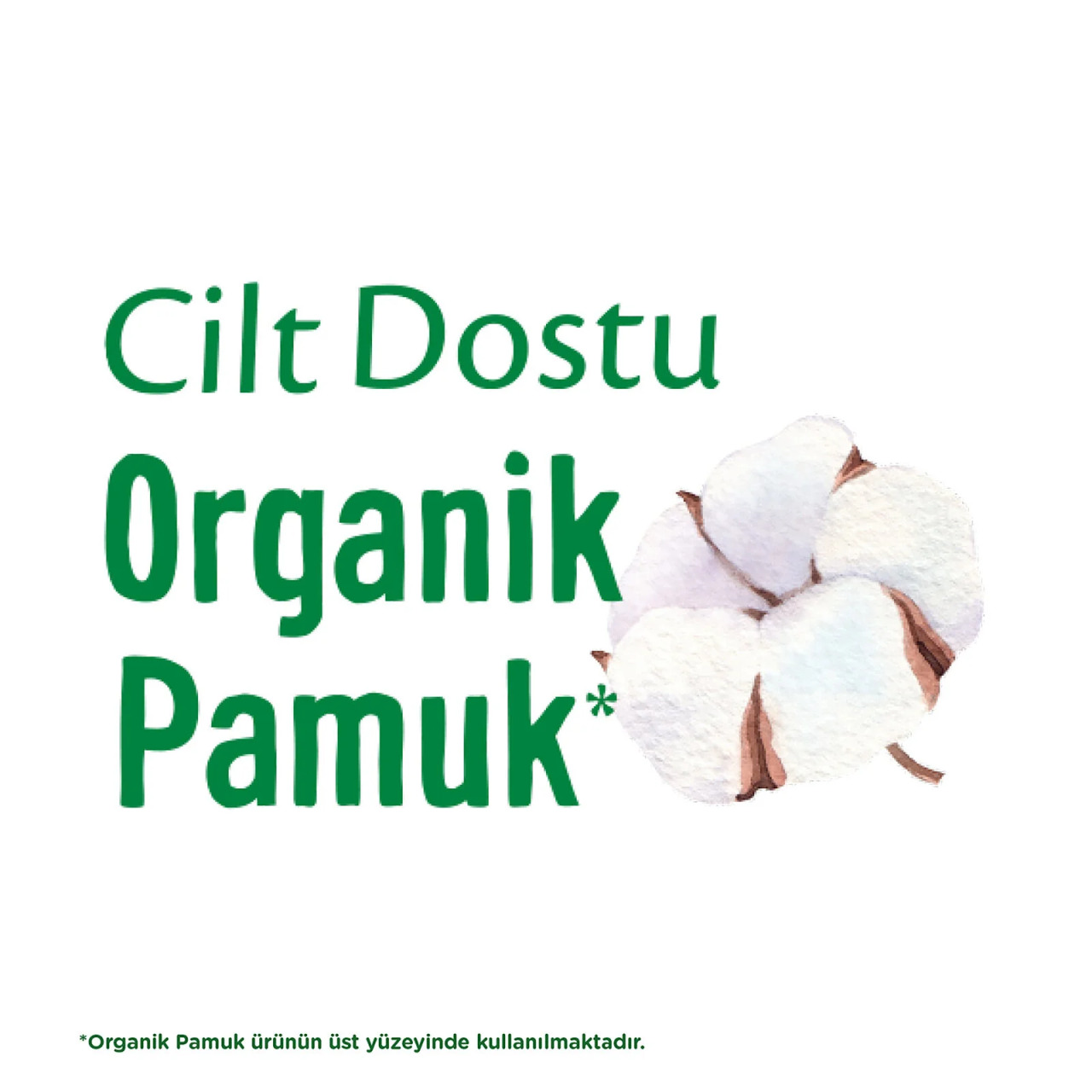 Molped Pure&Soft Normal Ped Süper Eko 24 Adet - 2
