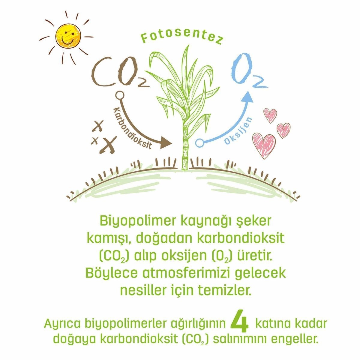 Sleepy Bio Natural Islak Havlu Mendil 3x40 120 Yaprak - 4
