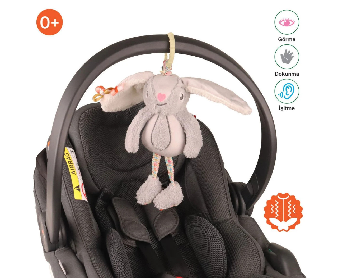 رفيقي في السفر الذي يهتز، الأرنب الصغير. - 4