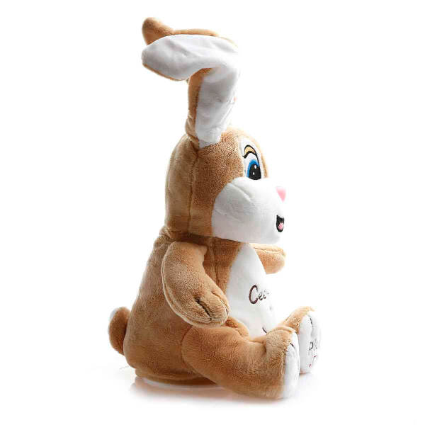 Birlik Oyuncak Babycim Ce ee Bunny - 5