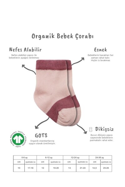 Bistyle 3lü Penye Rainbow Soket Çorap 10113 Pudra - 2