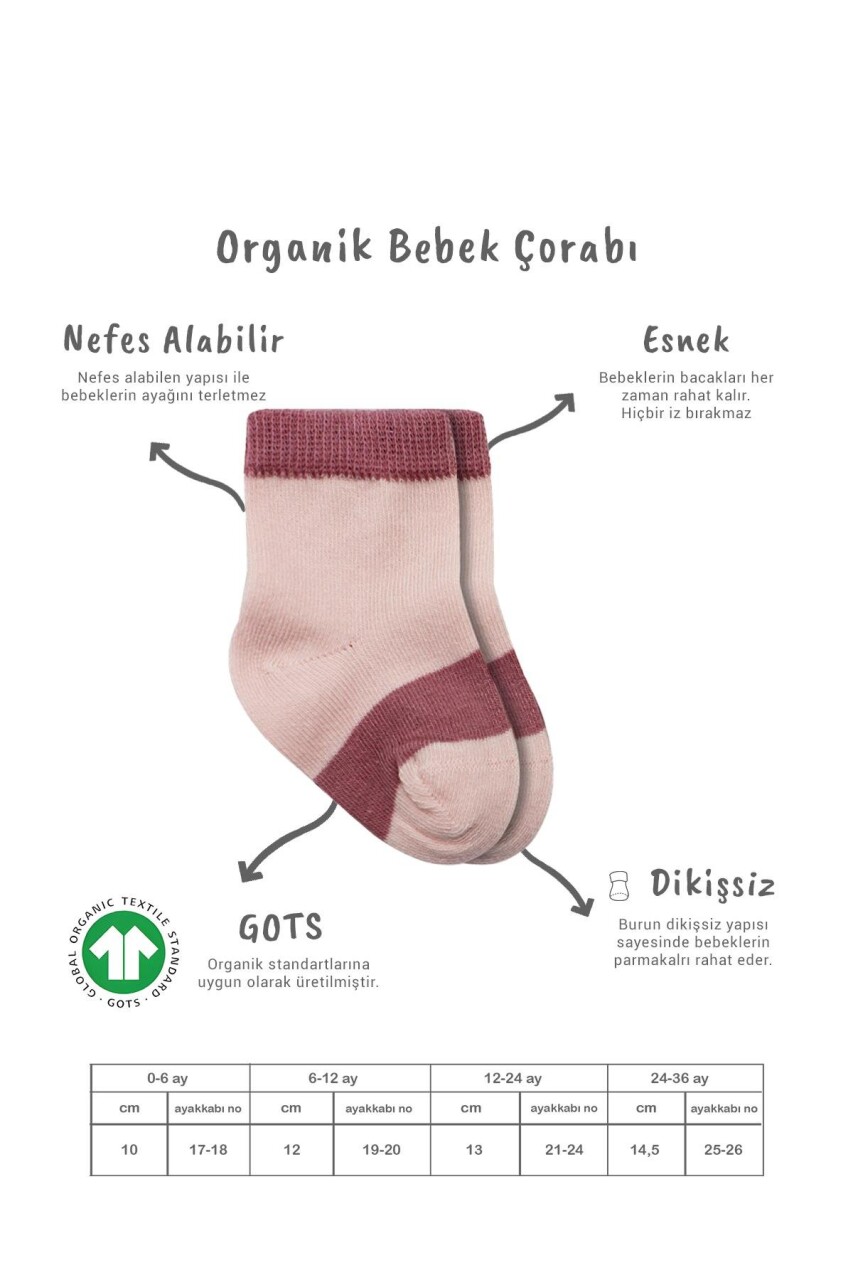 Bistyle 3lü Penye Rainbow Soket Çorap 10113 Pudra - 2