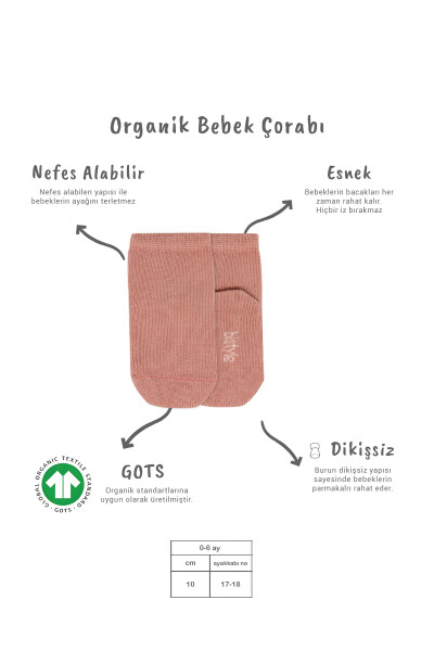 Bistyle 5'li Penye Soket Kutulu Basic Çorap 10131 Pudra - 2