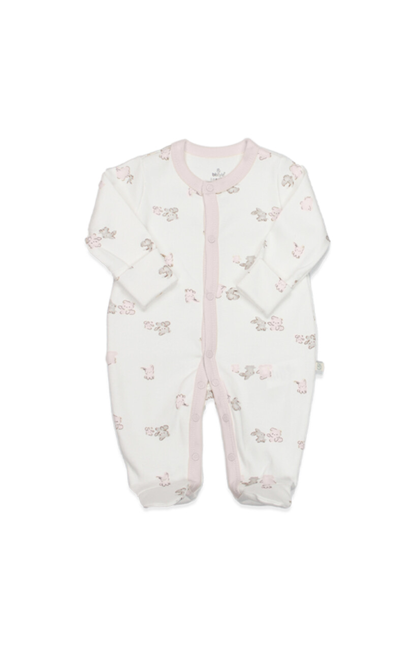 Bistyle 10lu Hastane Çıkışı Love You Family 11118 Pudra - 2