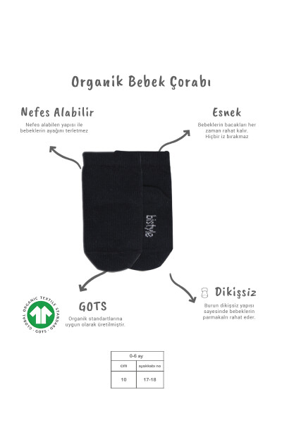 Bistyle 5'li Penye Soket Kutulu Basic Çorap 10131 Gri - 2