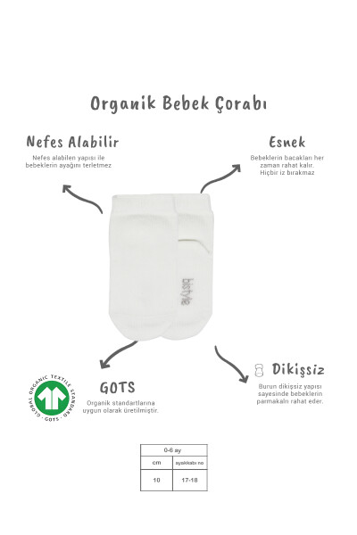 Bistyle 5'li Penye Soket Kutulu Basic Çorap 10131 Ekru - 2