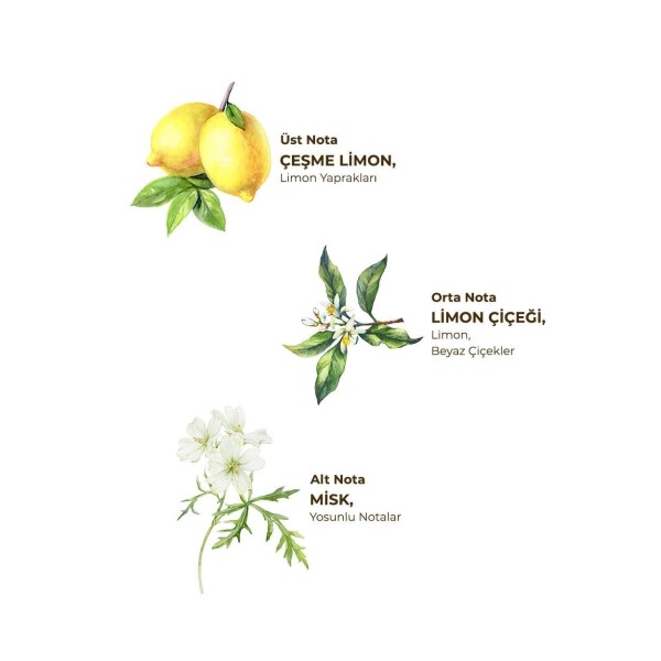 Eyüp Sabri Tuncer Kolonya Pet Şişe Sprey 150 ml Çeşme Limonu - 2