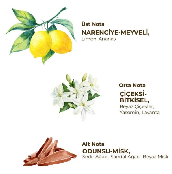 Eyüp Sabri Tuncer Kadın Roll On Deodorant 75 ml Fresh - 2