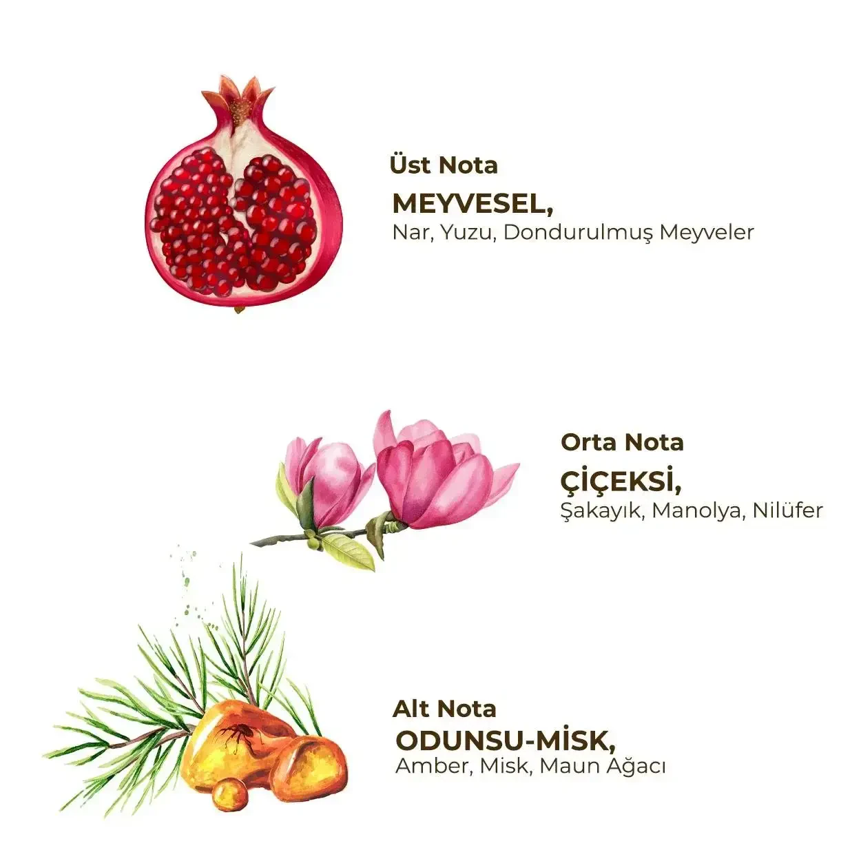 Eyüp Sabri Tuncer Kadın Roll On Deodorant 75 ml Floral - 2