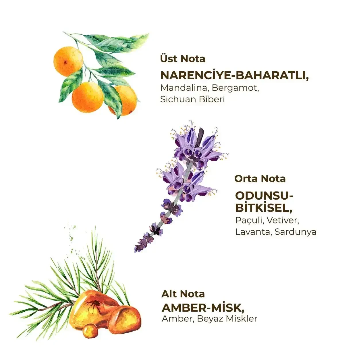 Eyüp Sabri Tuncer Erkek Roll On Deodorant 75 ml Sport - 2