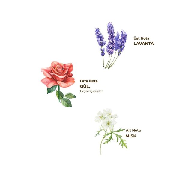 أيوب صبري تونجر كولونيا PET زجاجة بخاخ 150 مل لافندر - 2