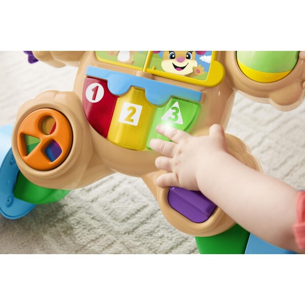 Fisher Price Eğitici Köpekçik Yürüteç (Türkçe) FTG10 - 3