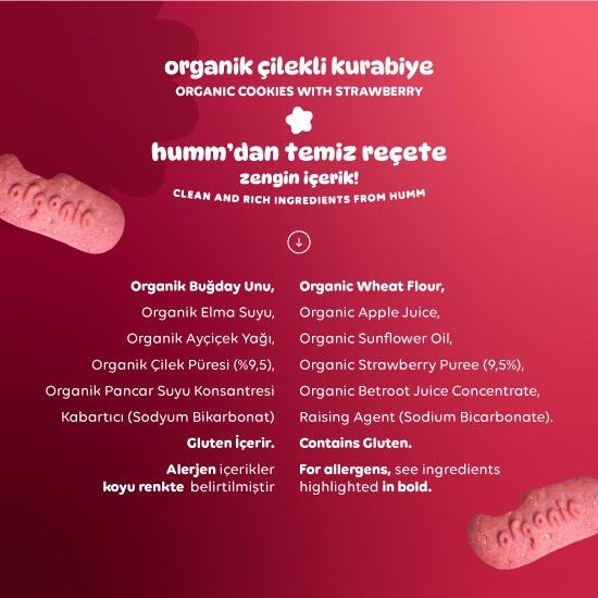 Humm Organik Vegan Çilekli Kurabiye 55 Gr - 4