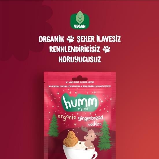 Humm Organik Zencefilli ve Tarçınlı Vegan Kurabiye 55 Gr - 2