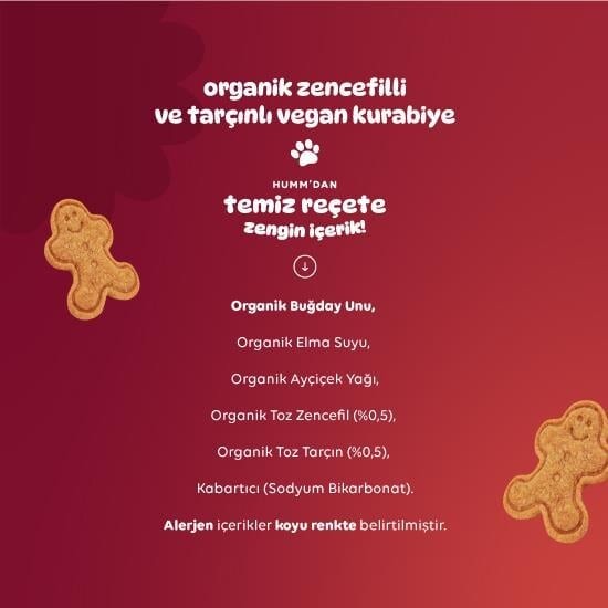 Humm Organik Zencefilli ve Tarçınlı Vegan Kurabiye 55 Gr - 4